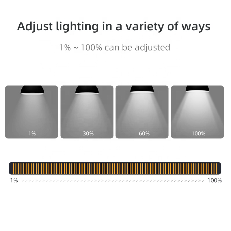 UEMON Smart Home 1%-100% Dimming Control Voice App Touch Dimmer Switch
