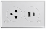 UEMON Smart Home VN/US/BRA/AU Standard Smart Wall Socket with USB&Type-C Fast Charging